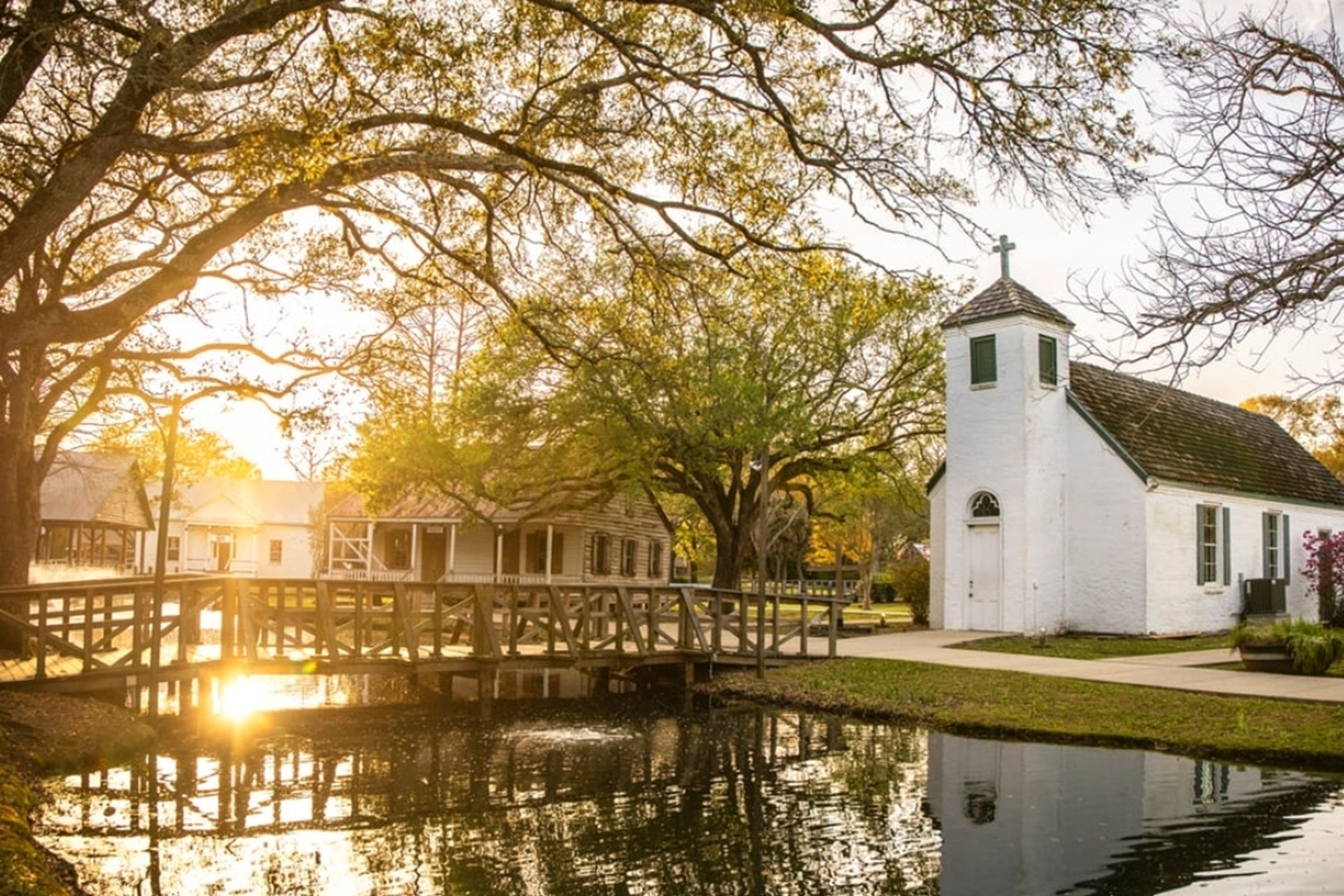 image-hover-layout-1